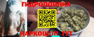 каннабис Сланцы