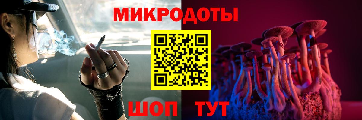 Галлюциногенные грибы Psilocybine cubensis Обнинск
